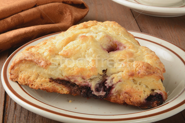 Berry turnover Stock photo © MSPhotographic