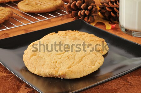 Macadamia nut cookies Stock photo © MSPhotographic