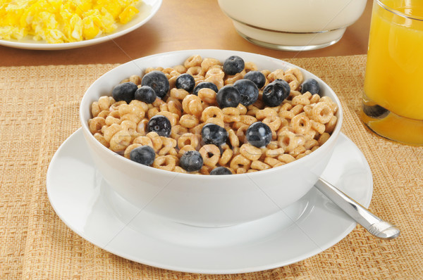 Oat cereal with blueberries Stock photo © MSPhotographic