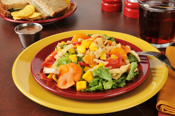 Tropical salad with a turkey and swiss cheese sandwich Stock photo © MSPhotographic