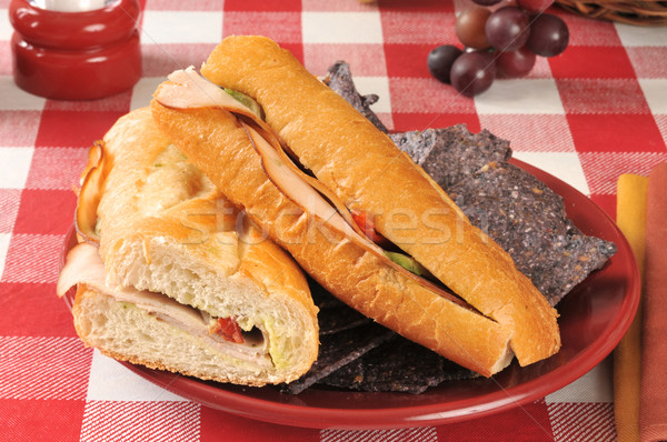 Turkije avocado sandwich kaas picknicktafel plaat Stockfoto © MSPhotographic