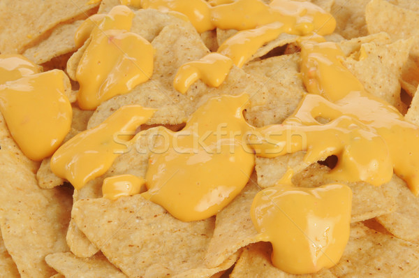 Tortilla chips queso primer plano salsa Foto stock © MSPhotographic