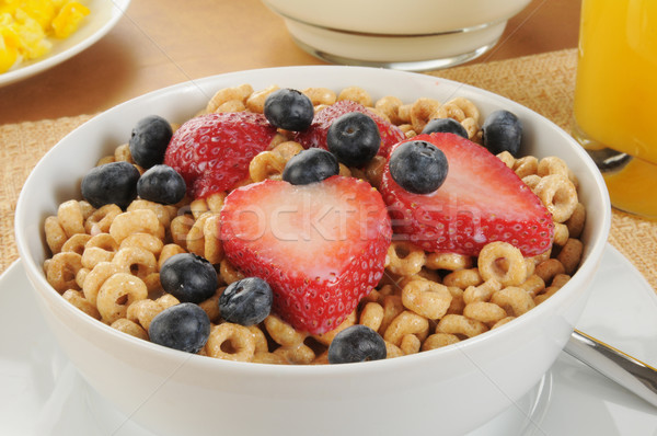 Cold cereal with strawberries and blueberries Stock photo © MSPhotographic