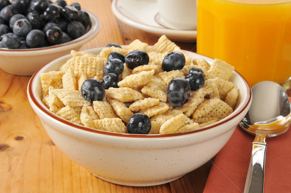 Breakfast cereal with blueberries Stock photo © MSPhotographic