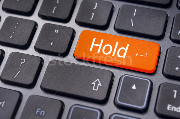 hold concepts in online stock trading Stock photo © mtkang