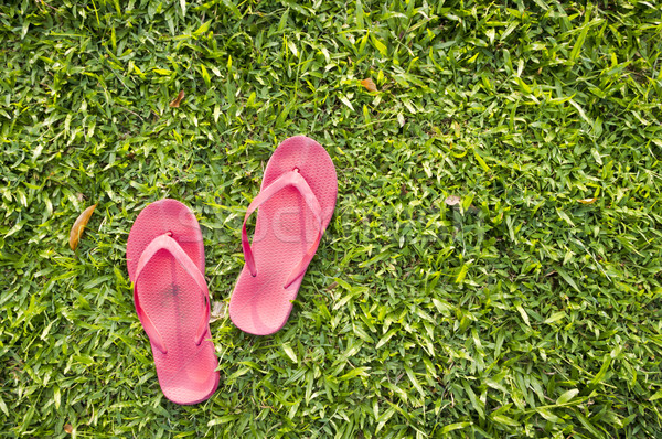 flip flops on grass Stock photo © mtkang