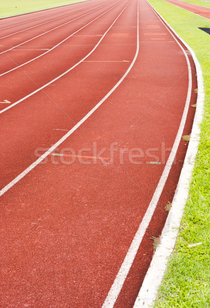 Lopen track witte lijn Rood Stockfoto © mtkang