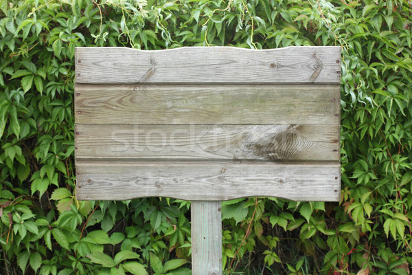 wooden plaque Stock photo © mtmmarek
