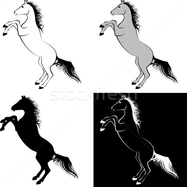 Horse Stock photo © mtmmarek