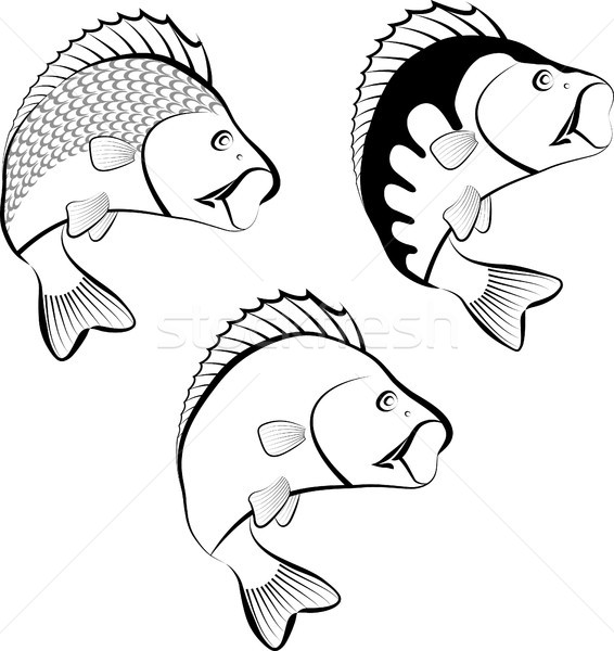 perch Stock photo © mtmmarek