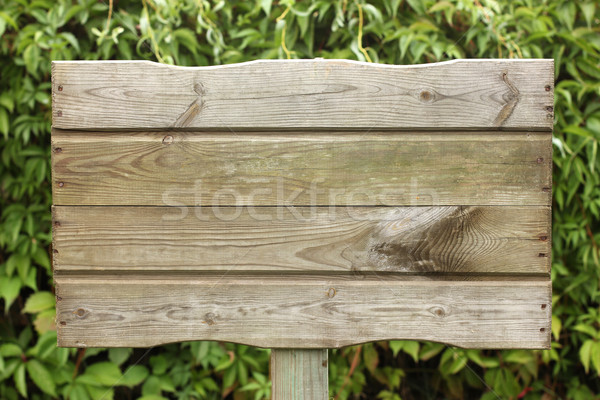 Plaque Holz Reben Textur Garten Hintergrund Stock foto © mtmmarek