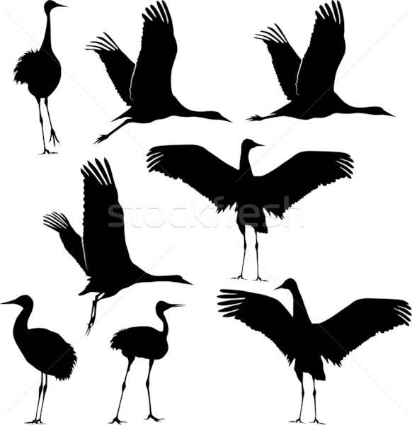 crane silhouette Stock photo © mtmmarek