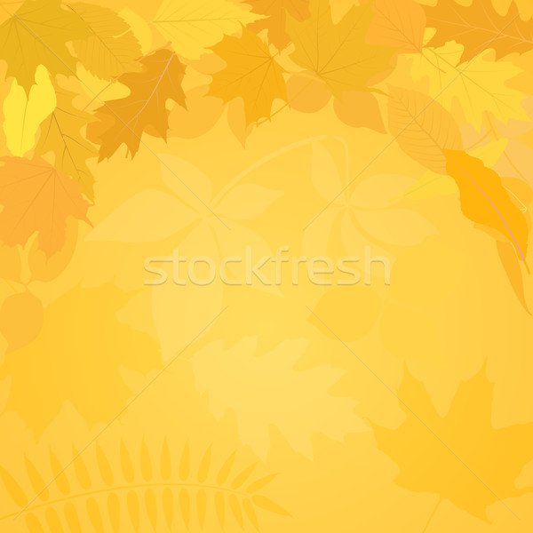 фон текстуры осень осень ярко Сток-фото © mtmmarek