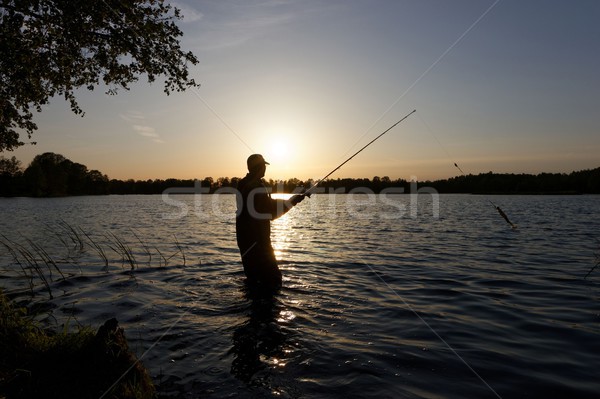 Fischer Silhouette stehen See Fisch Wasser Stock foto © mtmmarek