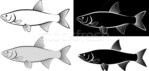 Stock photo: asp