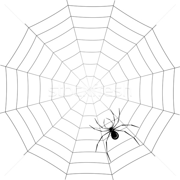 viziunea pânză de păianjen