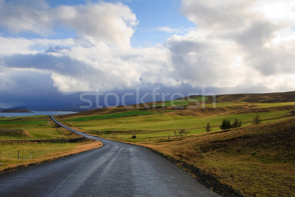 Road in Iceland Stock photo © mtoome