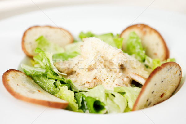 Caesar salade klassiek kip plaat voedsel blad Stockfoto © mtoome