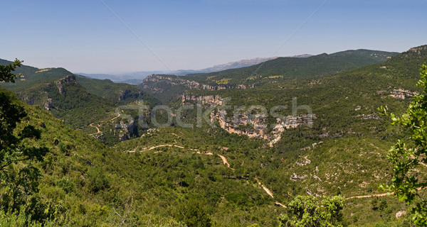 風景 スペイン 典型的な 表示 スペイン語 高地 ストックフォト © mtoome