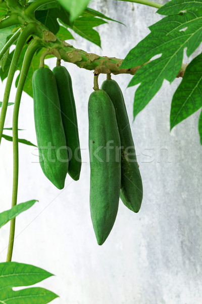 papaya Stock photo © muang_satun