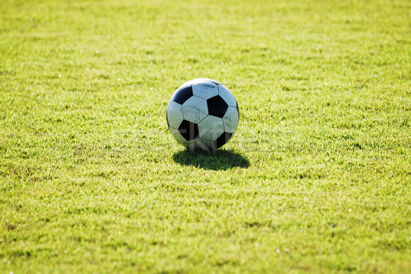 Futebol grama verde manhã luz diversão Foto stock © muang_satun