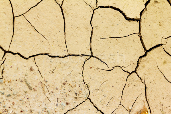 Rachado solo pormenor secas superfície Foto stock © muang_satun