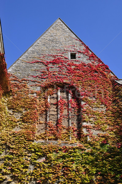 Japonês fachada abadia França edifício azul Foto stock © Musat