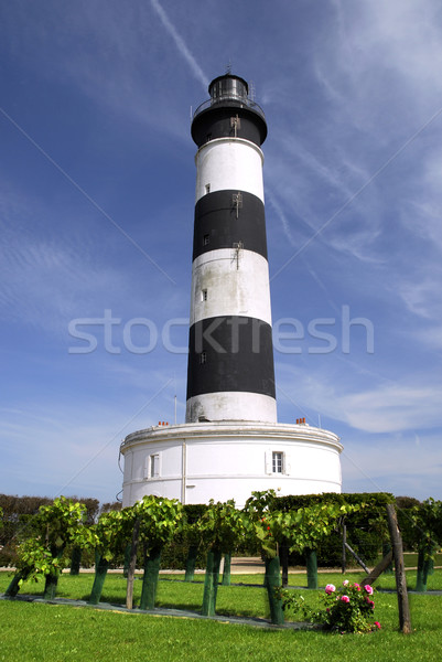 Lighthouse of Chassiron in France Stock photo © Musat