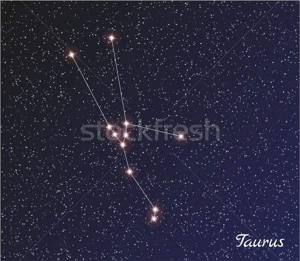 Konstellation Sterne dunkel Himmel Vektor Wasser Stock foto © muuraa