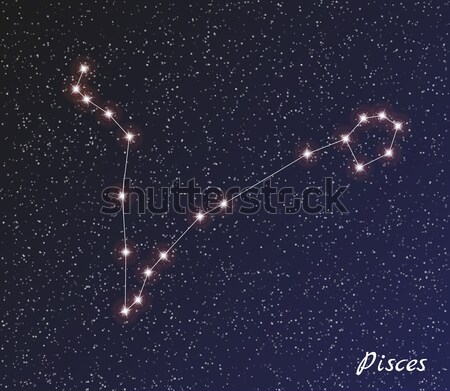 Sterrenbeeld star donkere hemel vector water Stockfoto © muuraa