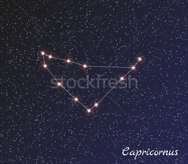 Konstellation Sterne dunkel Himmel Vektor Wasser Stock foto © muuraa