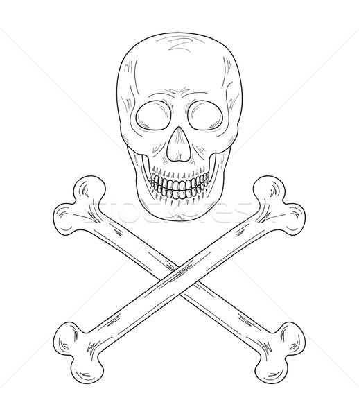 sketch of the skull and bones  Stock photo © muuraa