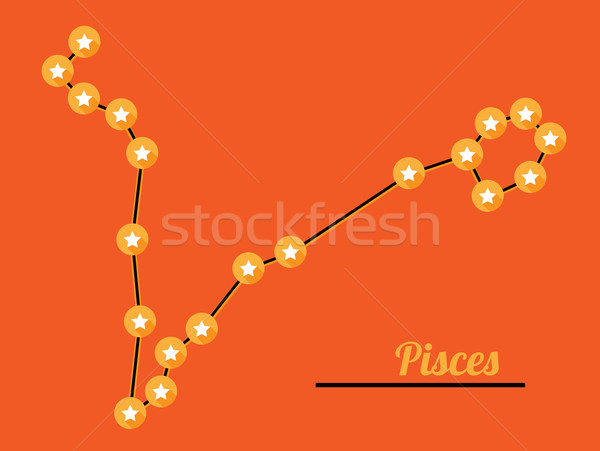 Sterrenbeeld star donkere hemel vector water Stockfoto © muuraa