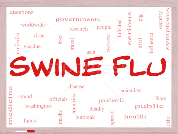 Swine Flu Word Cloud Concept on a Whiteboard Stock photo © mybaitshop