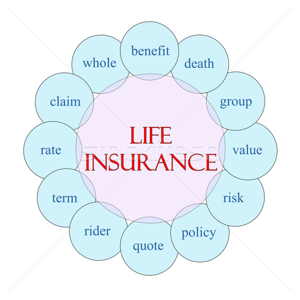 Life Insurance Circular Word Concept Stock photo © mybaitshop