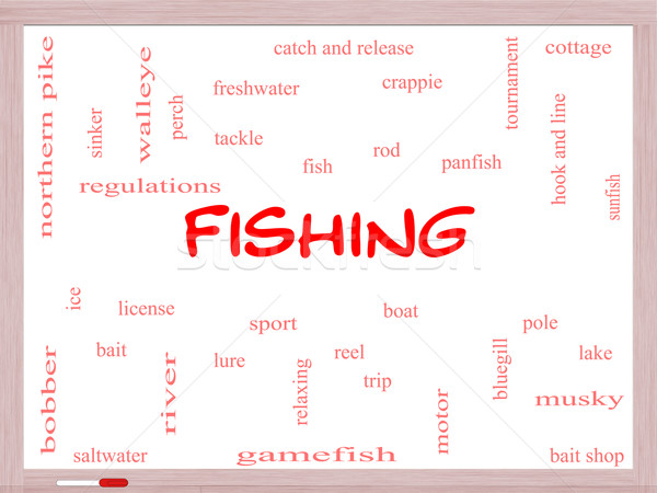 Fishing Word Cloud Concept on a Whiteboard Stock photo © mybaitshop