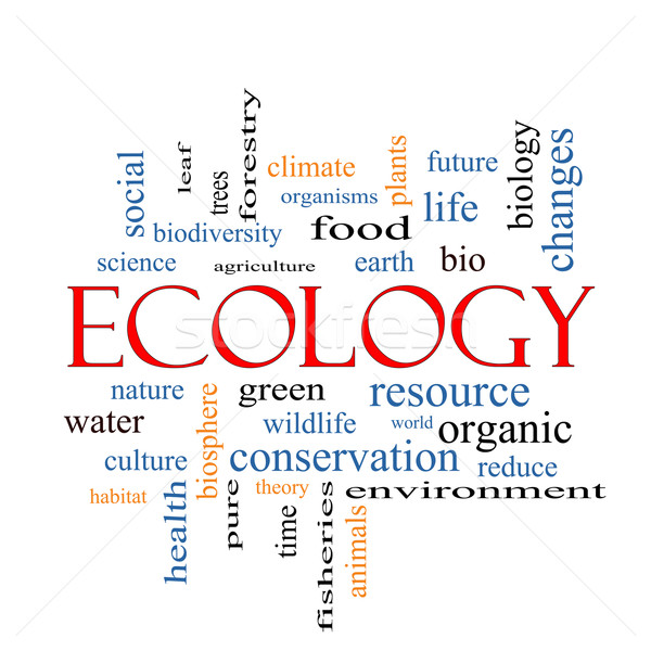 Ecology Word Cloud Concept  Stock photo © mybaitshop