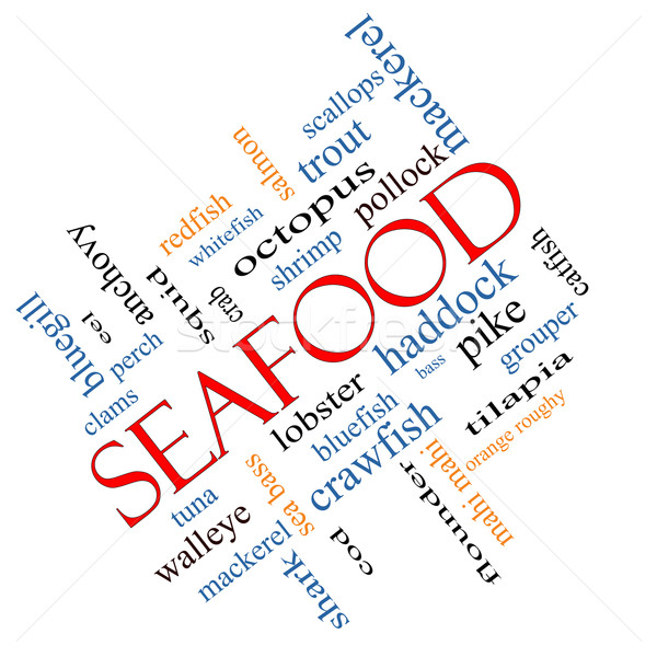 Seafood Word Cloud Concept Angled Stock photo © mybaitshop