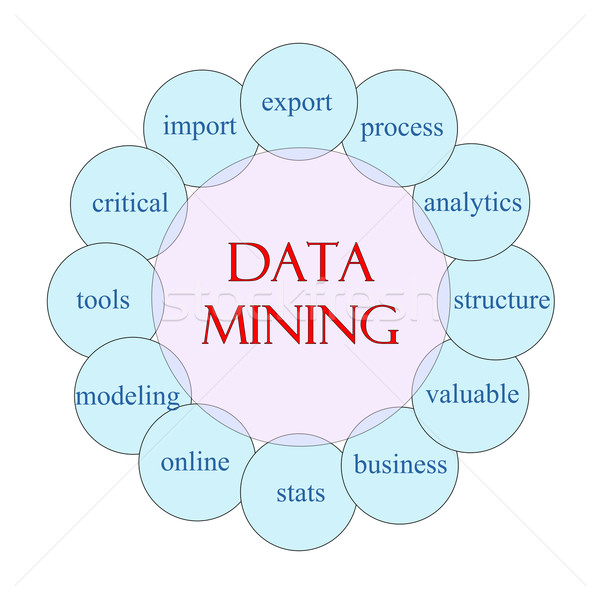 Data Mining Circular Word Concept Stock photo © mybaitshop