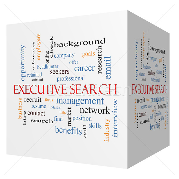 Executive Search 3D cube Word Cloud Concept Stock photo © mybaitshop