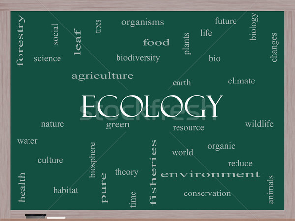 Ecology Word Cloud Concept on a Blackboard Stock photo © mybaitshop