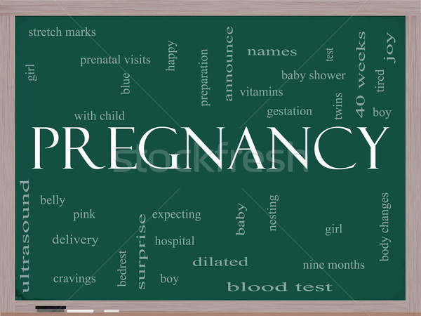 Pregnancy Word Cloud Concept on a Blackboard Stock photo © mybaitshop