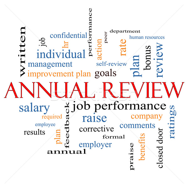 Annual Review Word Cloud Concept Stock photo © mybaitshop
