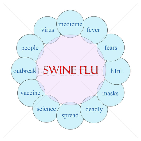 Sertés influenza körkörös szó diagram rózsaszín Stock fotó © mybaitshop