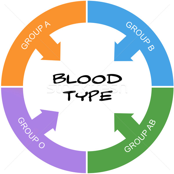 Blood Type Word Circle Concept Scribbled Stock photo © mybaitshop