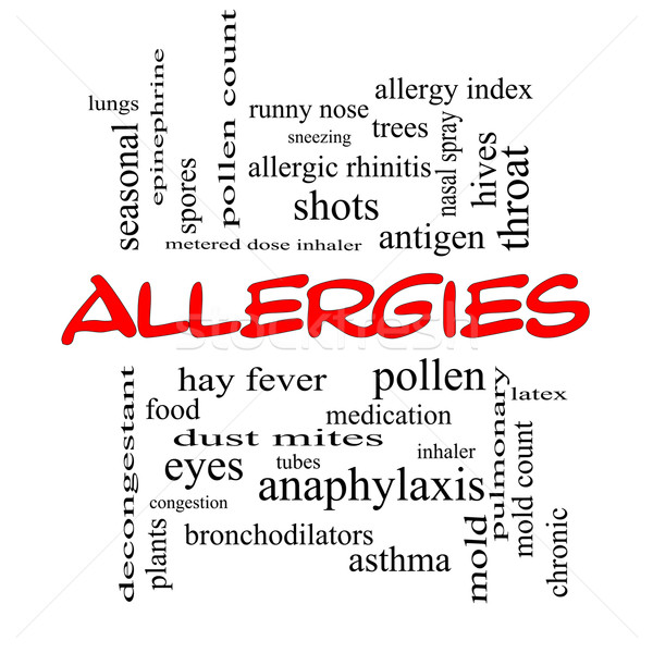 Allergia szófelhő piros nagyszerű étel virágpor Stock fotó © mybaitshop