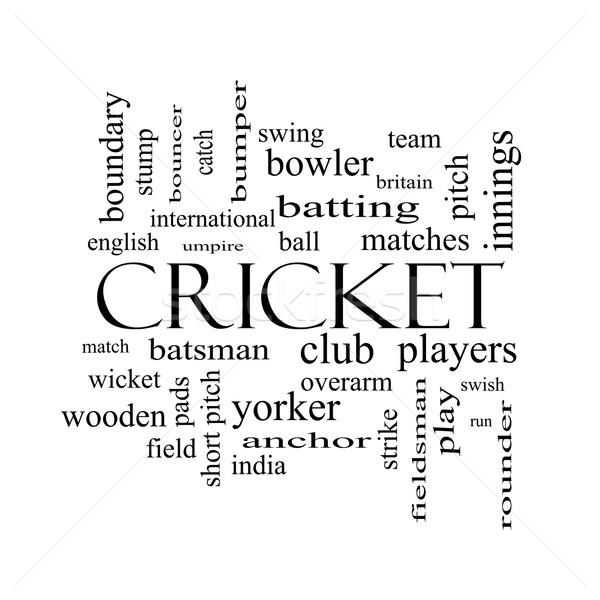 Cricket Wort-Wolke schwarz weiß groß Ball mehr Stock foto © mybaitshop