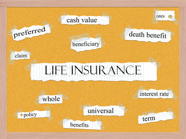 Levensverzekering woord groot cash verzekering kurk Stockfoto © mybaitshop