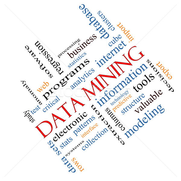 Data Mining Word Cloud Concept Angled Stock photo © mybaitshop
