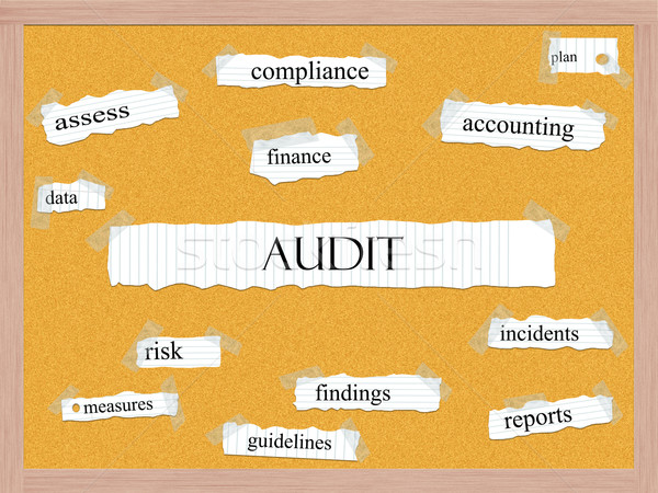 Audit Corkboard Word Concept Stock photo © mybaitshop